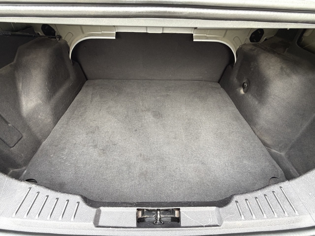 After Carpet Shampooing