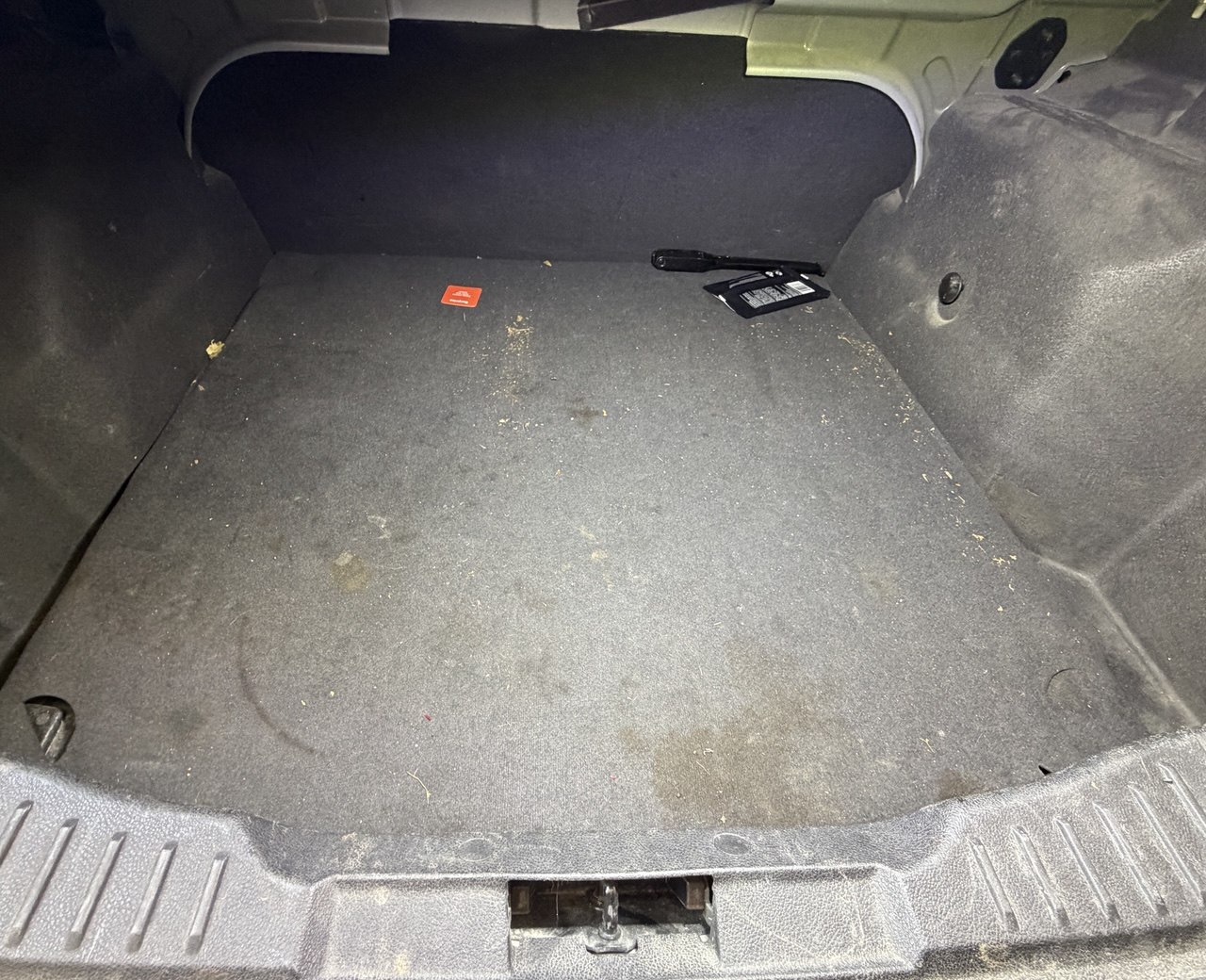 Before Carpet Shampooing